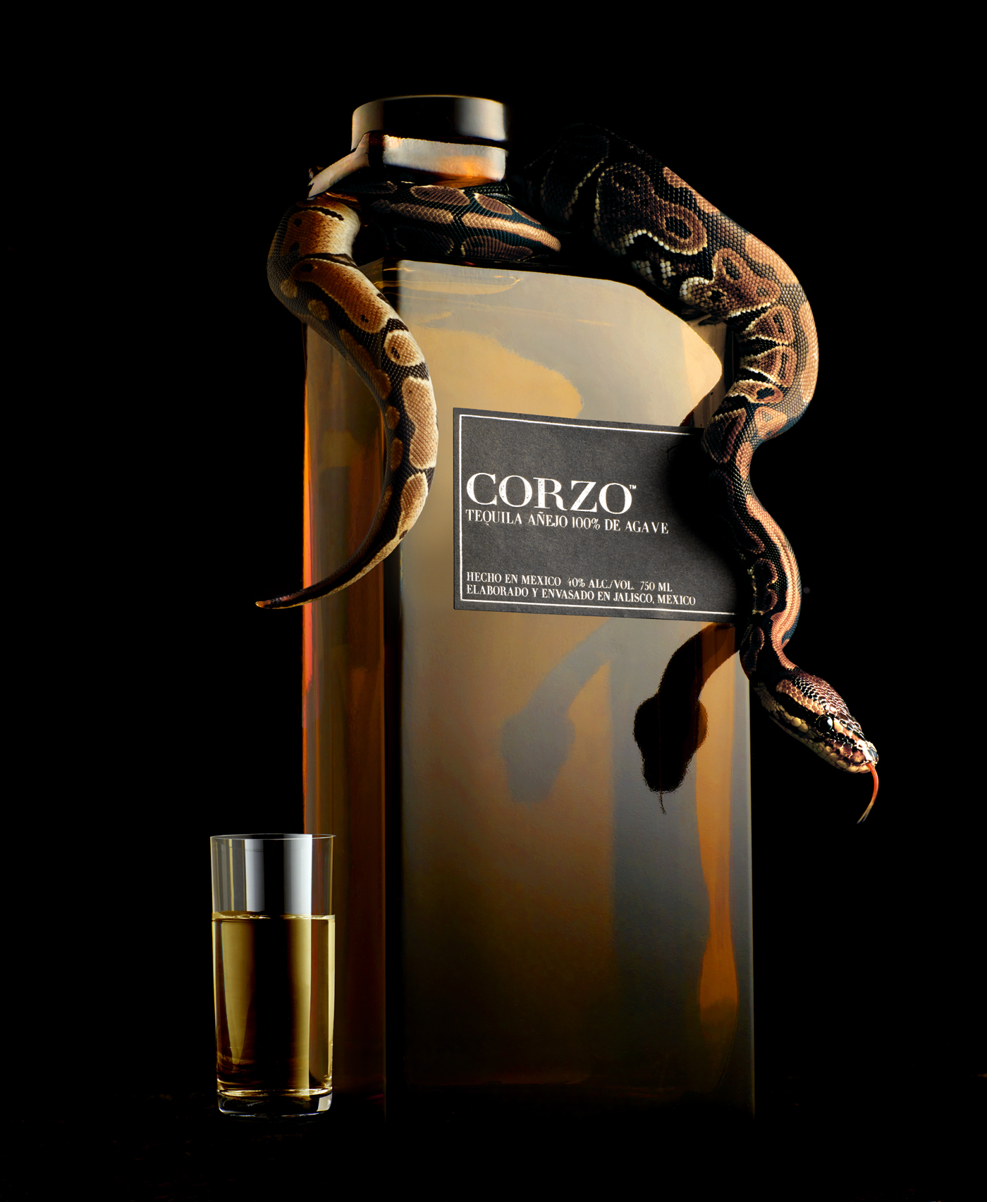 Corzo snake copy